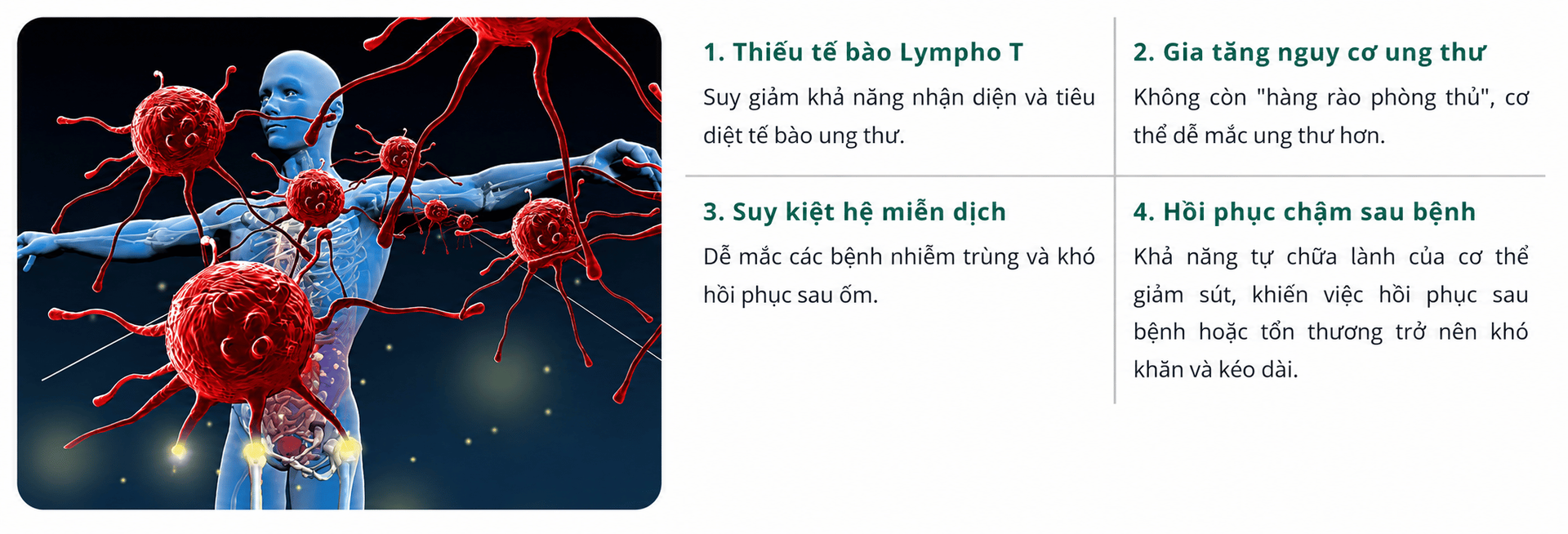 Infographic 1
